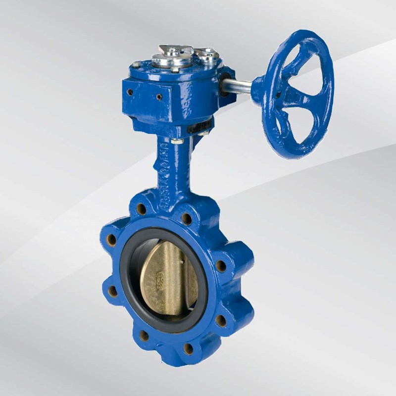 Butterfly Valve